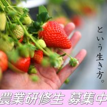 農業を始めてみませんか🍓