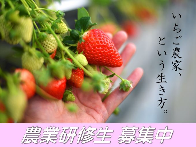 農業を始めてみませんか🍓