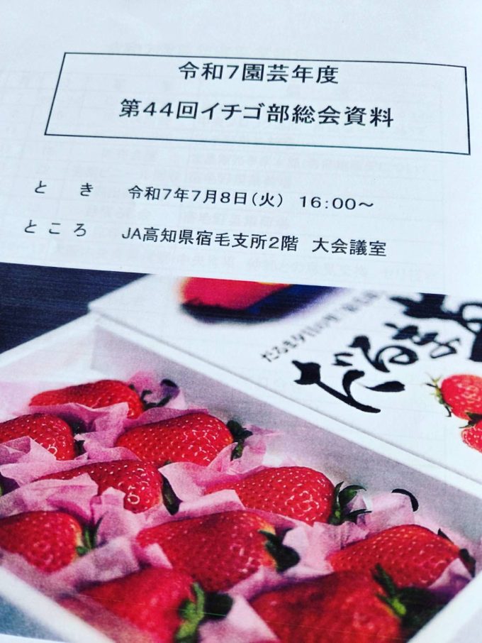 イチゴ部会の総会