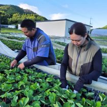 切り離し作業がスタート