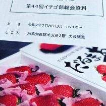 イチゴ部会の総会
